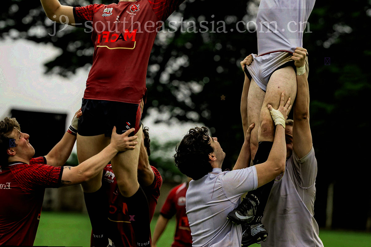 由细密网点与同心圆构成的抽象印刷纹理，深蓝底色上分布米灰色圆环与浅色网格